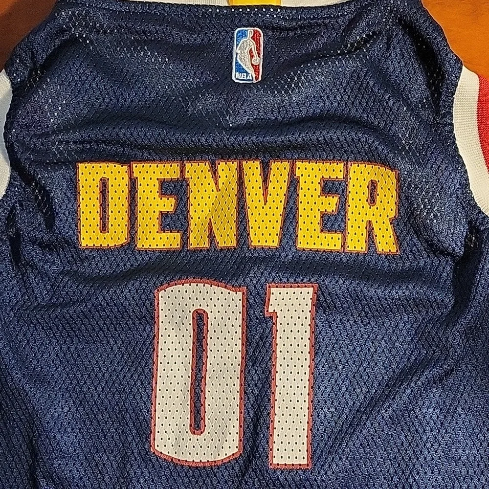 Denver 01 Blue Mesh Jersey For Dog